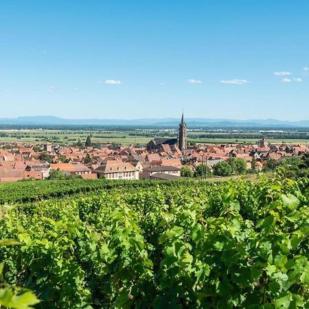 La Grange A Emile Villa Dambach Exteriör bild