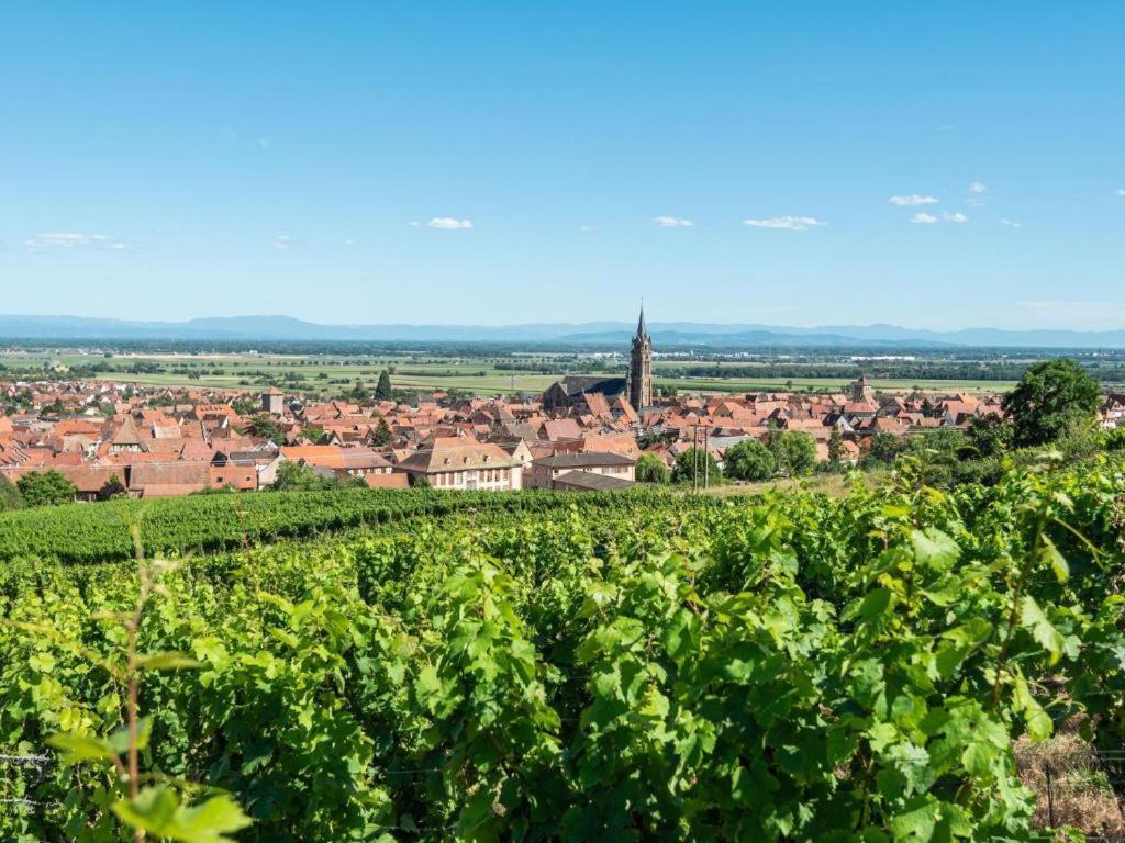 La Grange A Emile Villa Dambach Exteriör bild